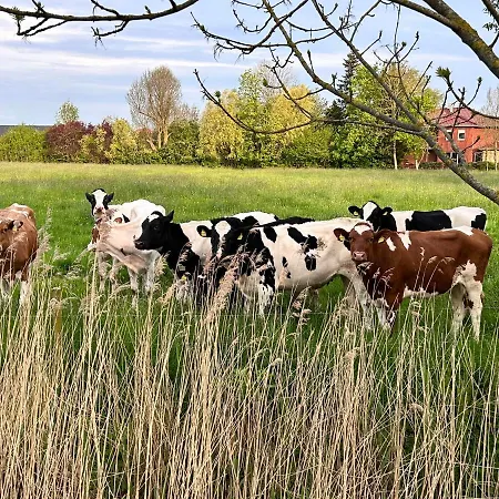 Wattkante B&B 버헤브